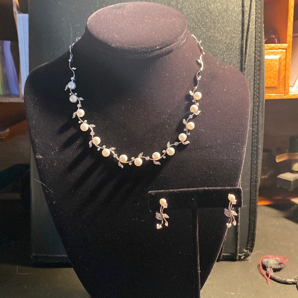 Earrings & Necklace Set